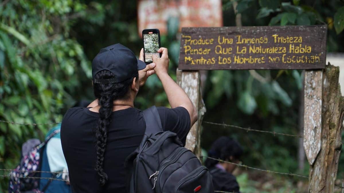 Conozca 'Cali en un reel': Una convocatoria abierta para mostrar la 'sucursal'