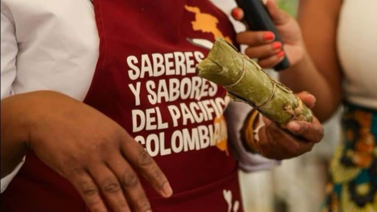 Festival Petronio Álvarez 2024: Esta será la programación del lunes, 19 de agosto