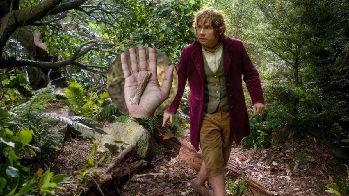 Los 'hobbits' sí existieron: Fósiles darían pistas sobre su apariencia y tamaño