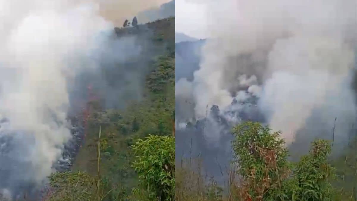 Atención: Se registra un nuevo incendio en Pichindé, zona rural de Cali