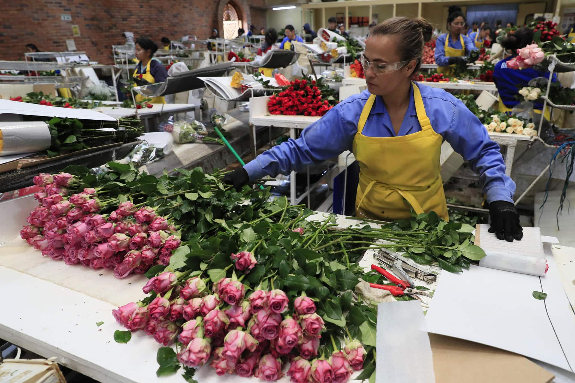 Producción industrial en Colombia creció un 0,7% tras meses de caída, según el Dane