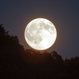 Las fases de la luna en octubre: Ideal para cortar el cabello y apreciar el satélite