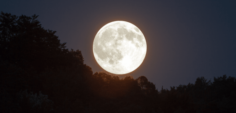 Las fases de la luna en octubre: Ideal para cortar el cabello y apreciar el satélite