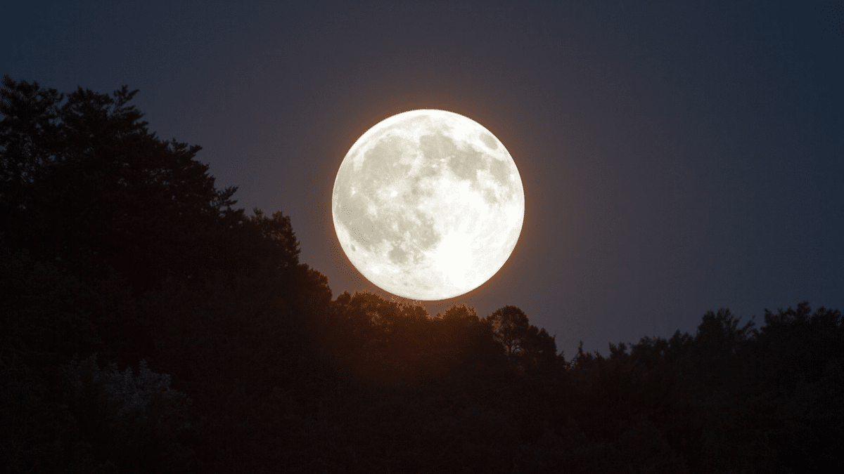 Las fases de la luna en octubre: Ideal para cortar el cabello y apreciar el satélite