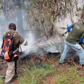 Dagma inicia plan para recuperar las zonas afectadas tras incendios forestales en Los Andes