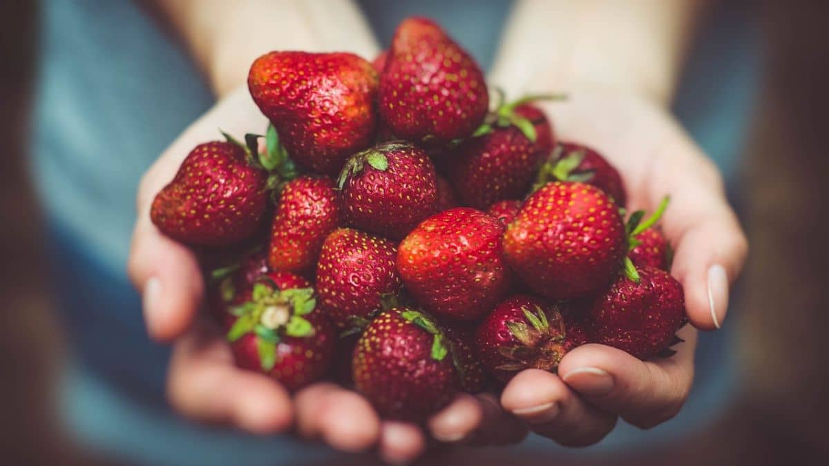 Los alimentos ricos en fibra natural: Clave para una vida saludable