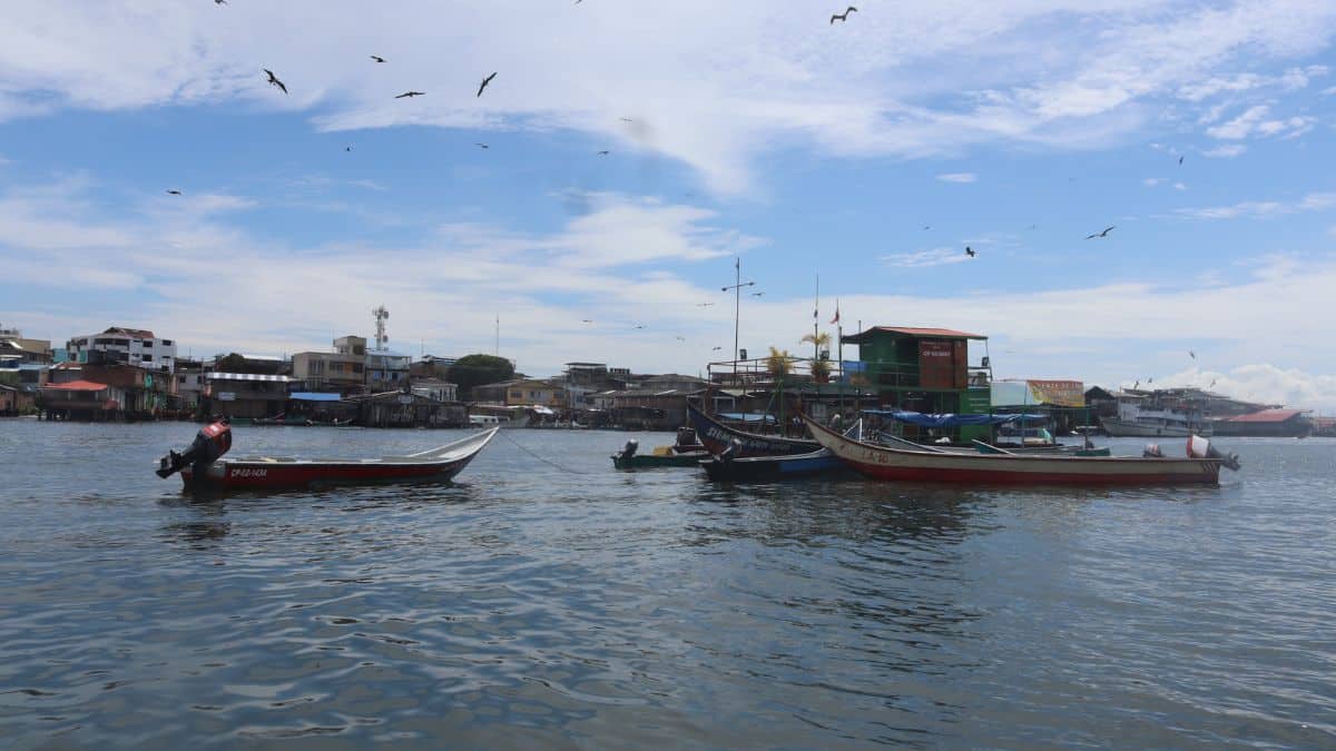 ¿Qué planes puedes hacer en Buenaventura?  Todo lo que necesitas saber si vas a visitar este destino