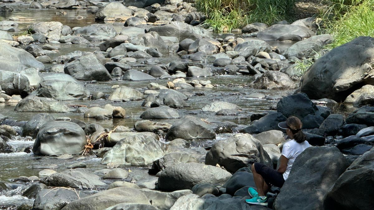 El Valle del Cauca tendrá un nuevo sistema antidrones; conozca de qué se trata