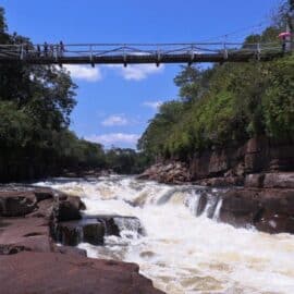 Colombia presenta Plan de Acción en Biodiversidad previo a la COP16; conozca más detalles