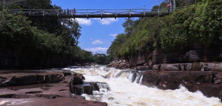 Colombia presenta Plan de Acción en Biodiversidad previo a la COP16; conozca más detalles