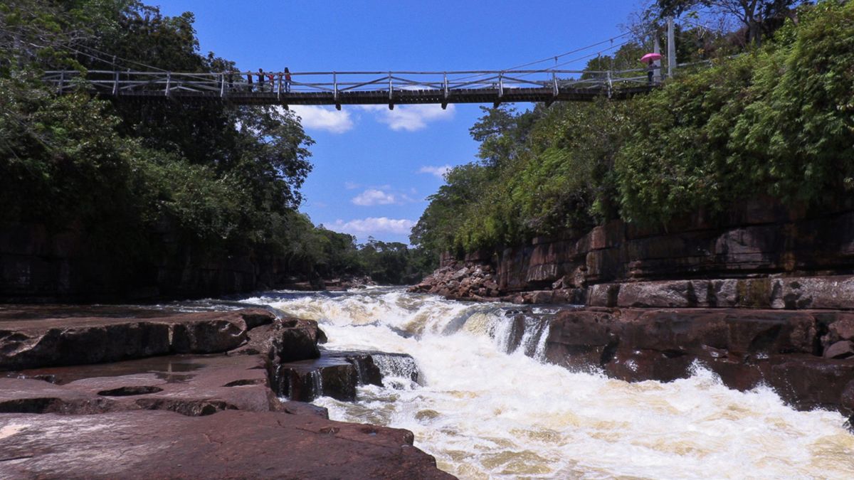 Colombia presenta Plan de Acción en Biodiversidad previo a la COP16; conozca más detalles