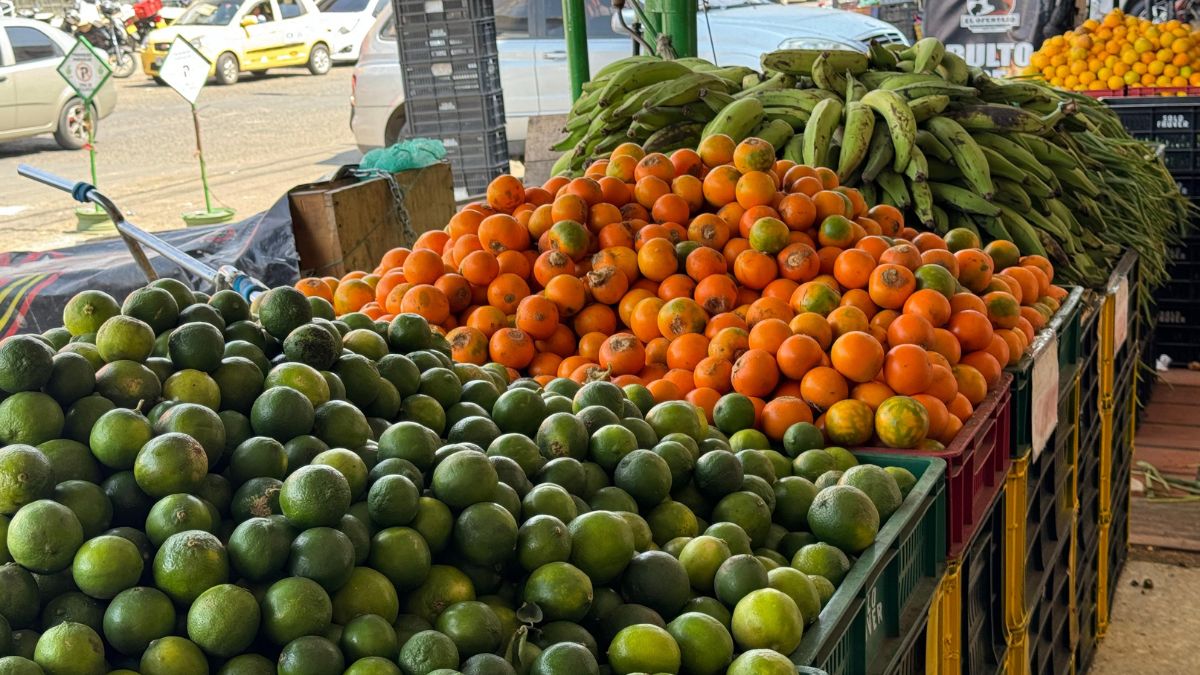 Este es el panorama de Cali tras el paro camionero