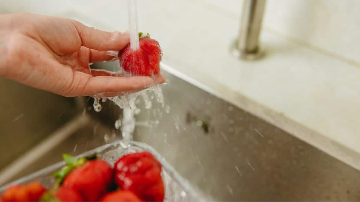 Evita las plagas en tu cocina: 'tips' fáciles y rápidos para eliminar los moscos en la fruta