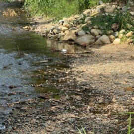 ¿Qué zonas de Cali tendrían racionamiento de agua si no llueve esta semana?