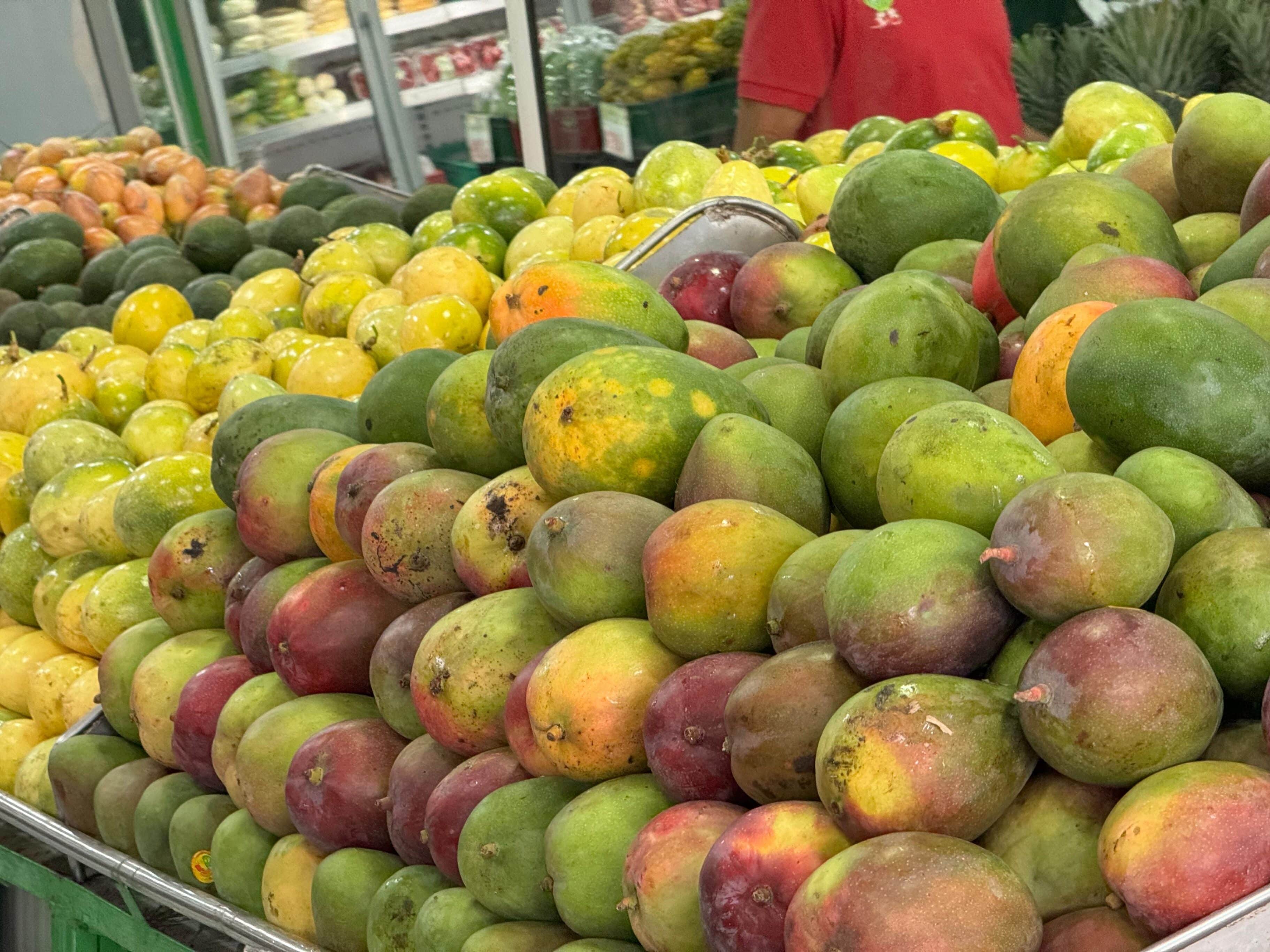 Alimentos galería santa elena