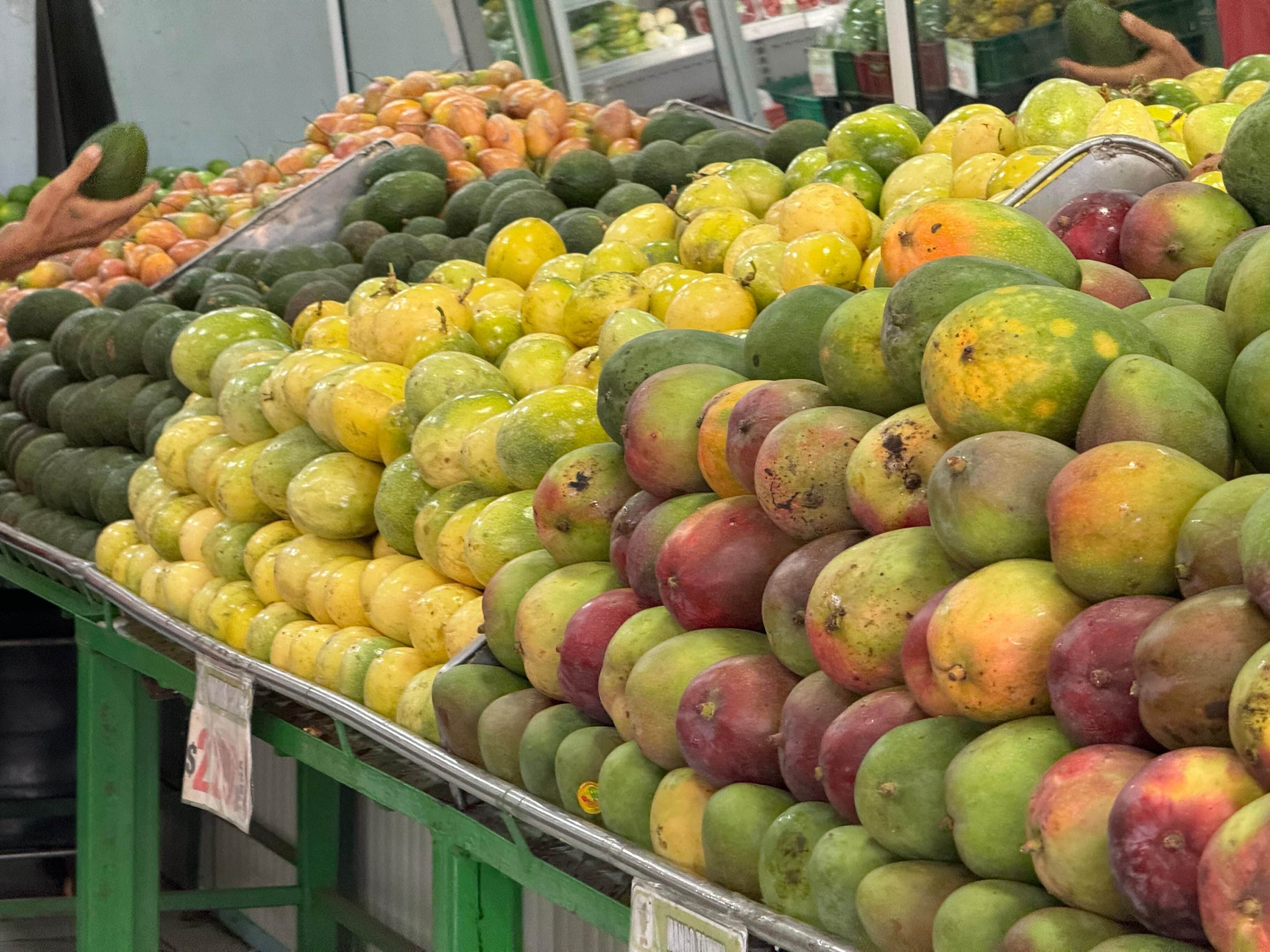 Alimentos galería santa elena