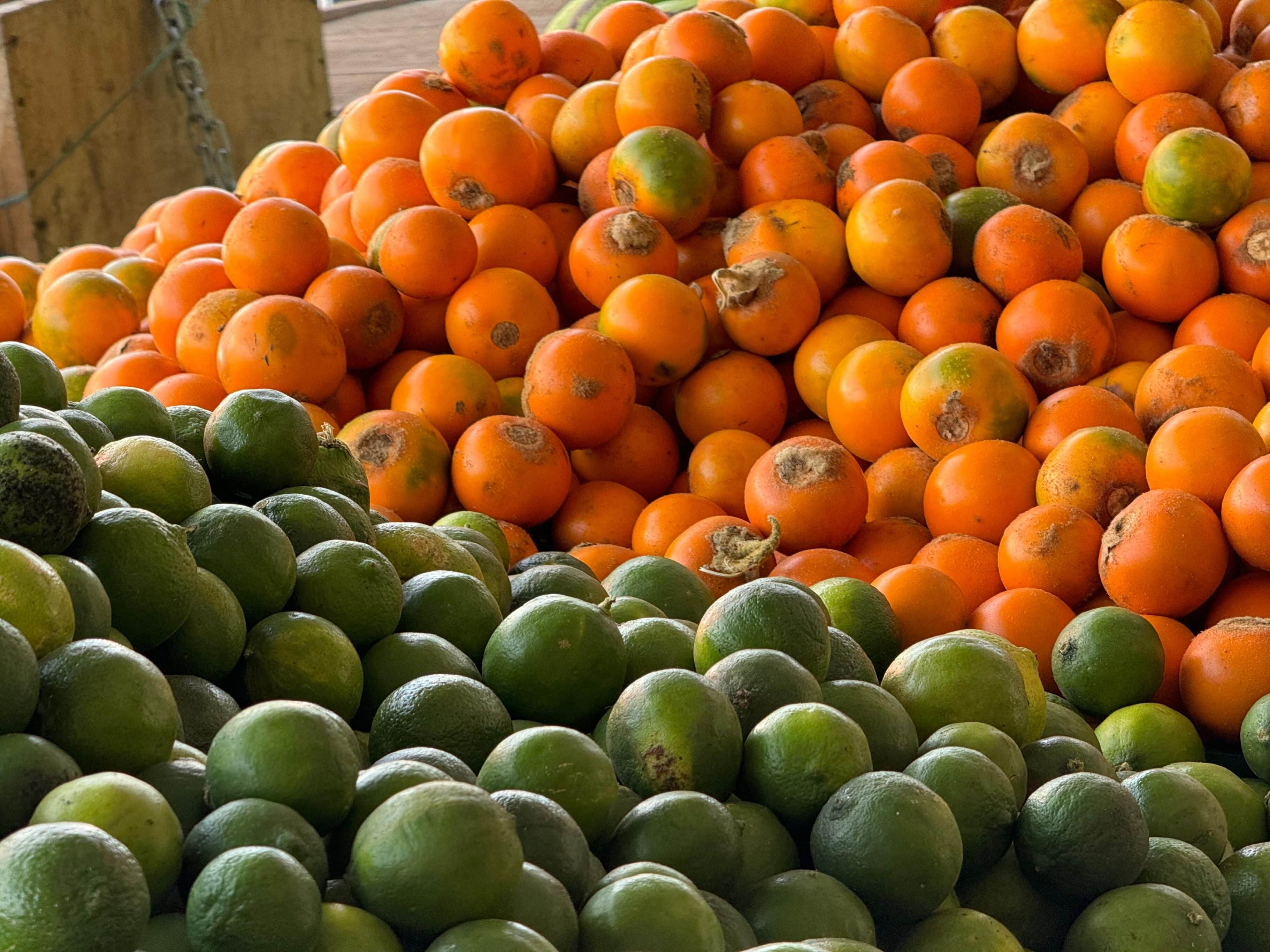 Alimentos galería santa elena