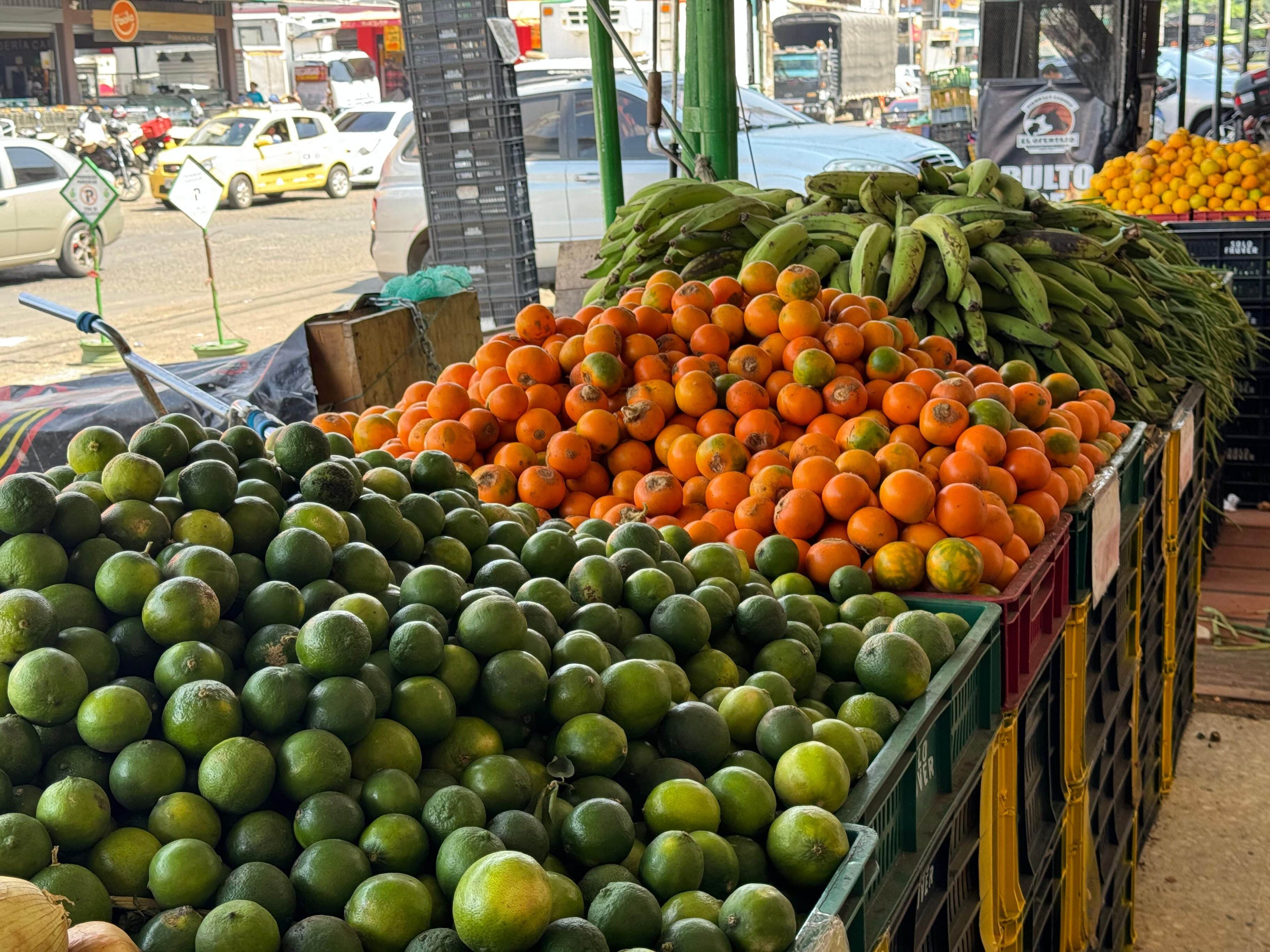 Alimentos galería santa elena