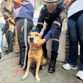 Perrito del incendio Guabal en Cali