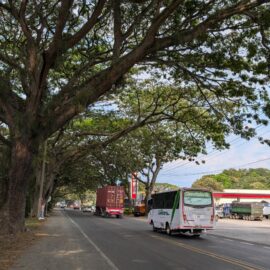 Concesionario rediseñará trazado de la vía Buga-Buenaventura para evitar tala de árboles