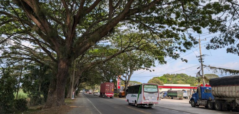 Concesionario rediseñará trazado de la vía Buga-Buenaventura para evitar tala de árboles