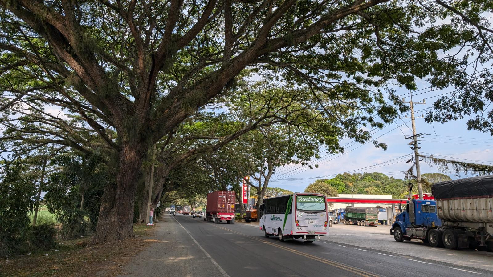 Concesionario rediseñará trazado de la vía Buga-Buenaventura para evitar tala de árboles