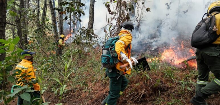 Ofrecen 50 millones de recompensa por autores de incendios en Cali