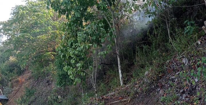 Controlan incendios forestales en Cristo Rey; cuatro hectáreas resultaron afectadas