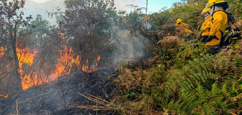 Alerta: Incendio en Pradera, Valle completa 36 horas: bomberos atienden la emergencia