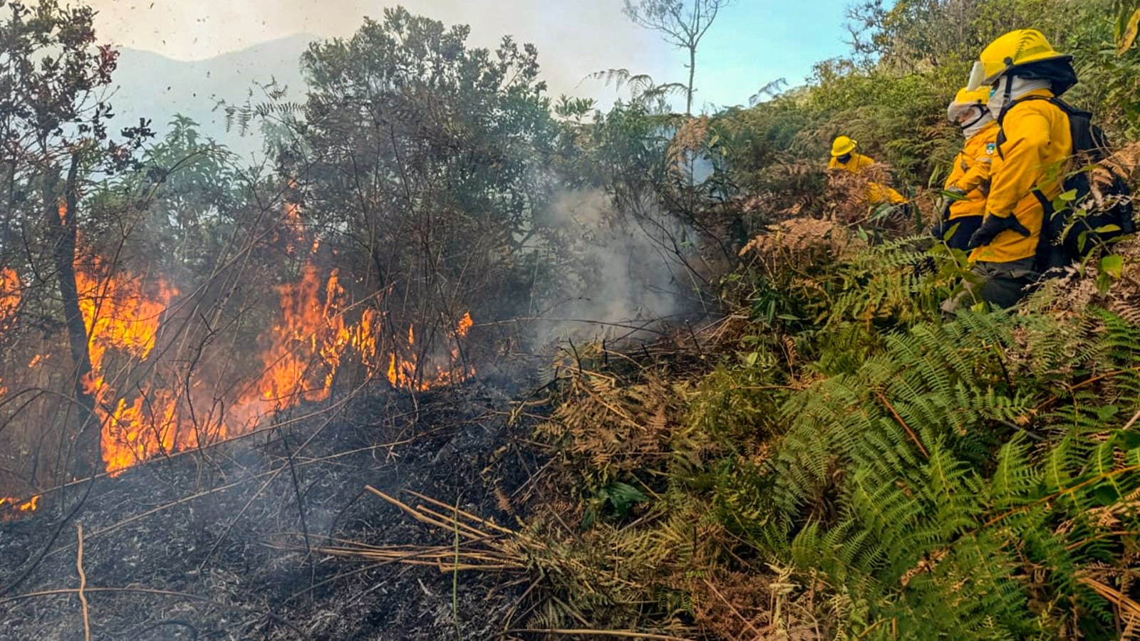 Alerta por incendios forestales: 14 puntos activos y más de 10 mil hectáreas afectadas