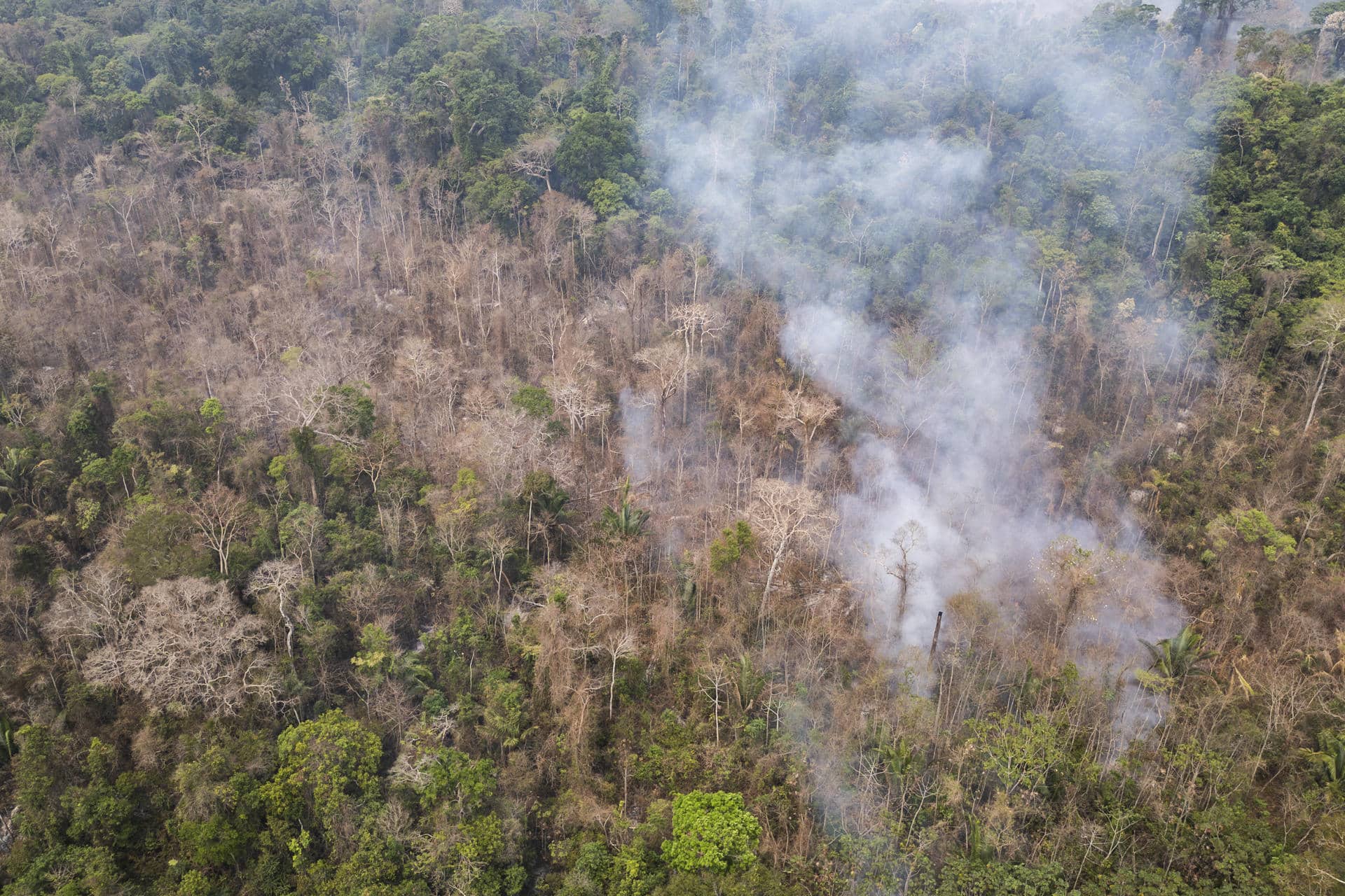 Ecuador tendrá apagones nocturnos ante crisis energética por sequía