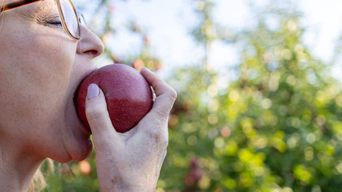 Los alimentos ricos en fibra natural: Clave para una vida saludable