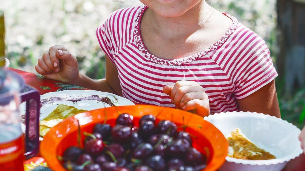 Hambre cero: ¿Cómo puedo verificar que soy parte de este subsidio?