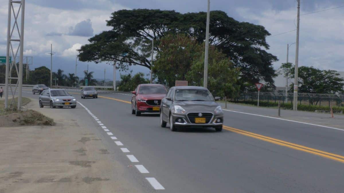 Posible tala de árboles en proyecto vial de Mediacanoa: Gobernadora del Valle se pronunció