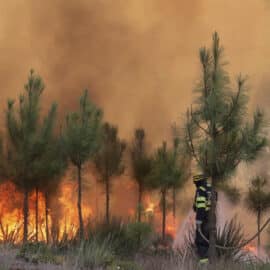 Aumenta el calentamiento de la superficie terrestre ante incremento de incendios forestales
