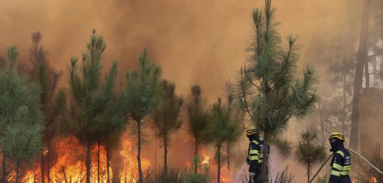 Aumenta el calentamiento de la superficie terrestre ante incremento de incendios forestales