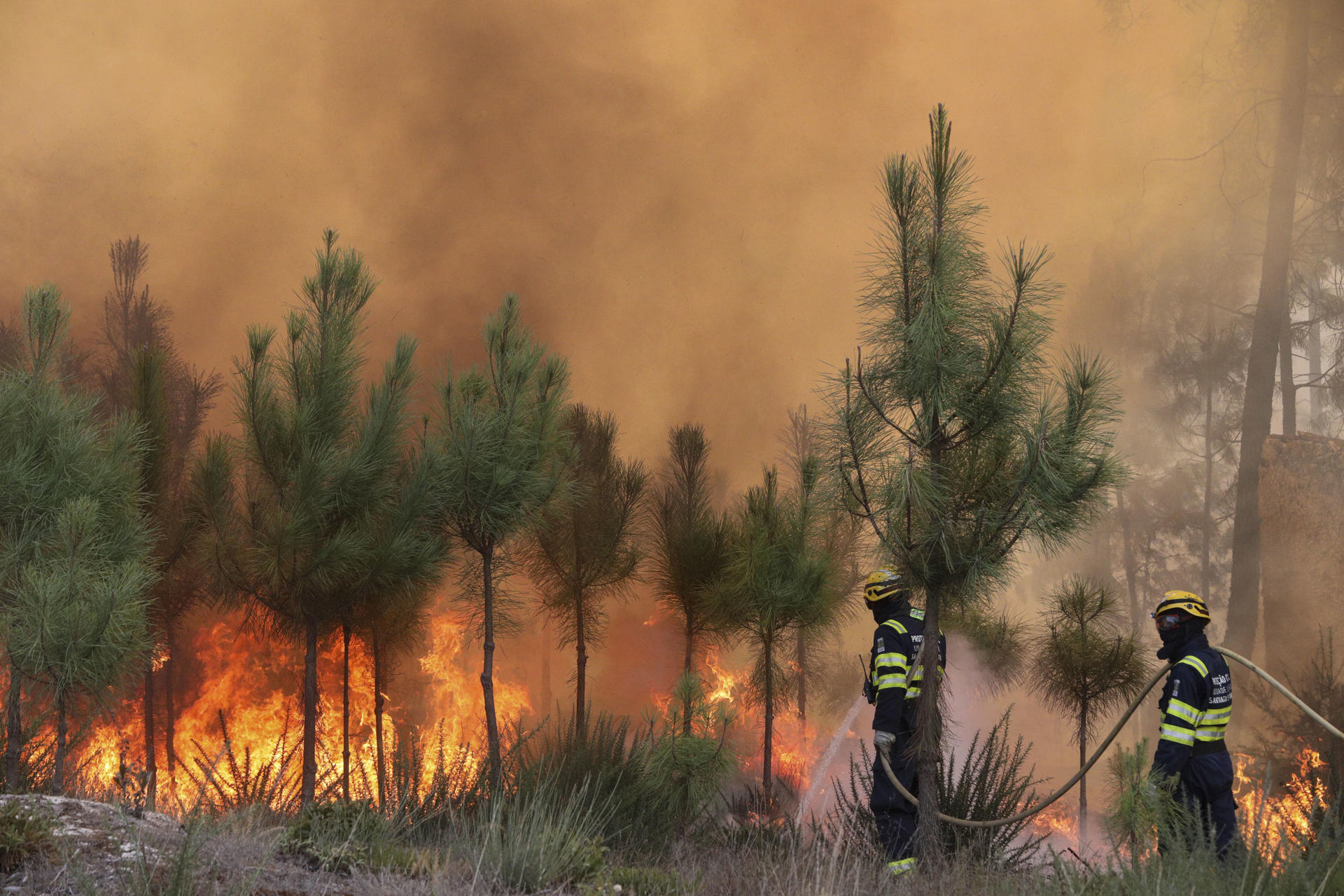 Aumenta el calentamiento de la superficie terrestre ante incremento de incendios forestales