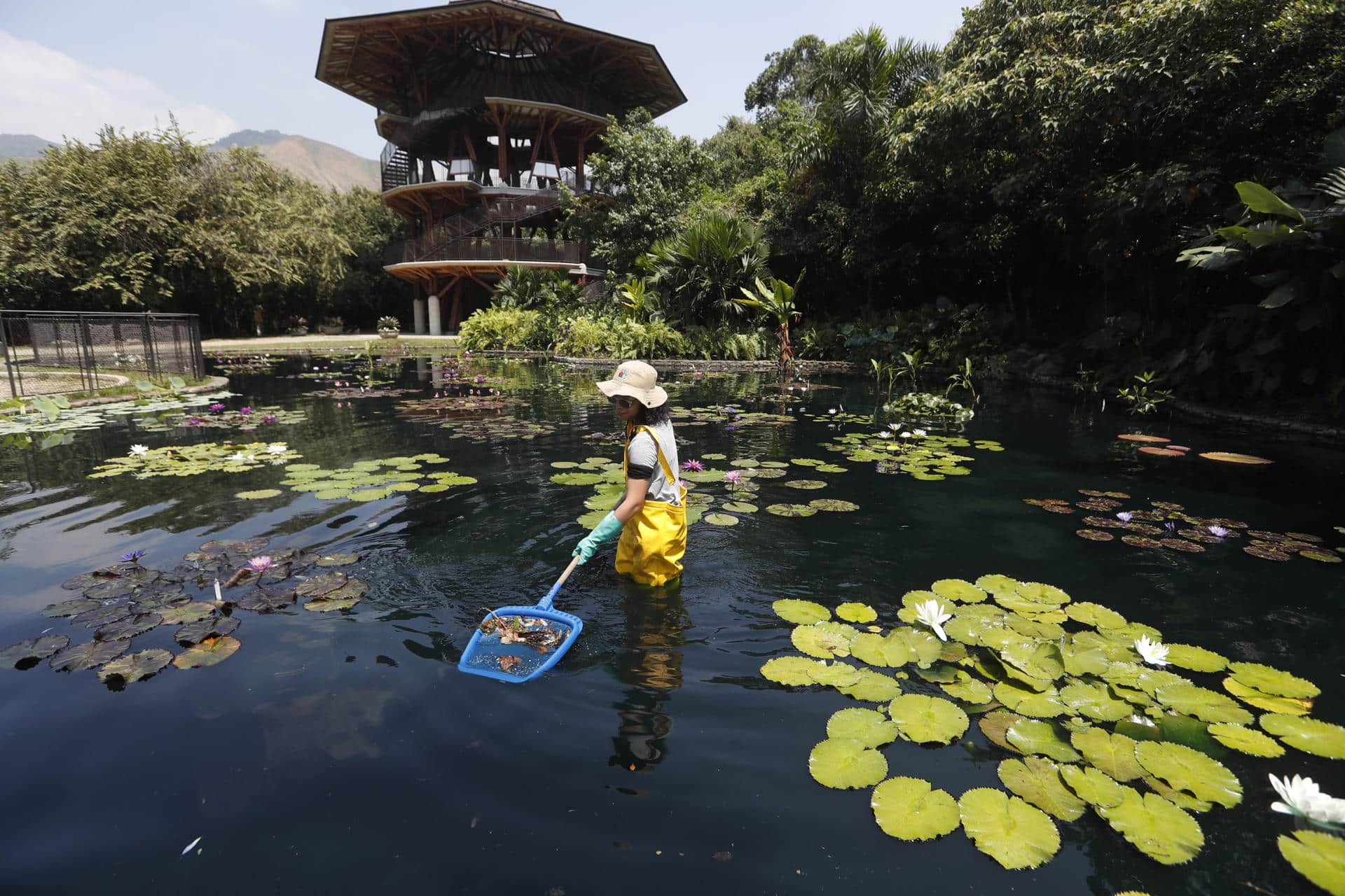 Un año del Jardín Botánico en Cali: El lugar que protege a más de 190 especies de plantas