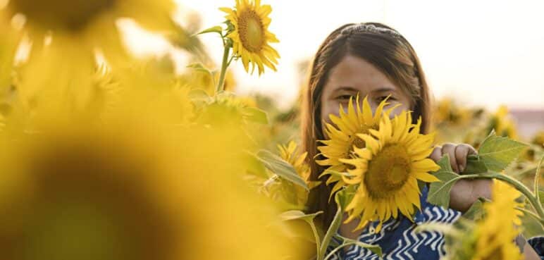 ¿Por qué se regalan flores amarillas en septiembre? La explicación sorprende a muchos