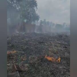 Incendio en las antiguas bodegas del ferrocarril; reportan animales afectados por llamas