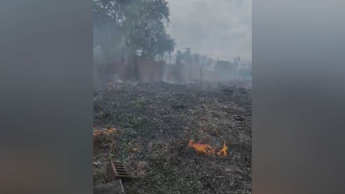 Incendio en las antiguas bodegas del ferrocarril; reportan animales afectados por llamas