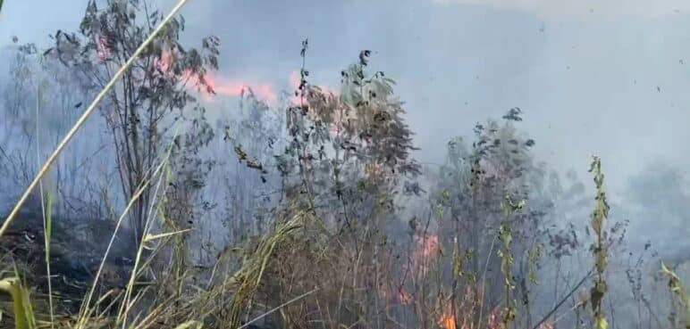 Atención: Reportan incendio forestal en el barrio Las Américas en Yumbo