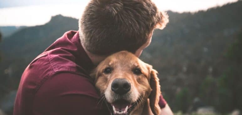 Evita estos errores comunes que pueden enfermar a tu perro