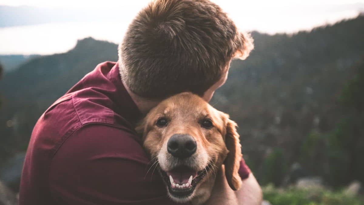 Evita estos errores comunes que pueden enfermar a tu perro