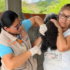 Jornada vacunación rabia