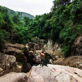 Conociendo los 'tesoros' biodiversos de Colombia: Muchos se pueden visitar