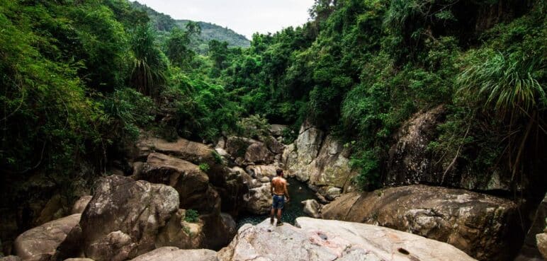 Conociendo los 'tesoros' biodiversos de Colombia: Muchos se pueden visitar