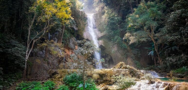 Los tesoros del Chocó: Explorando la riqueza natural del departamento