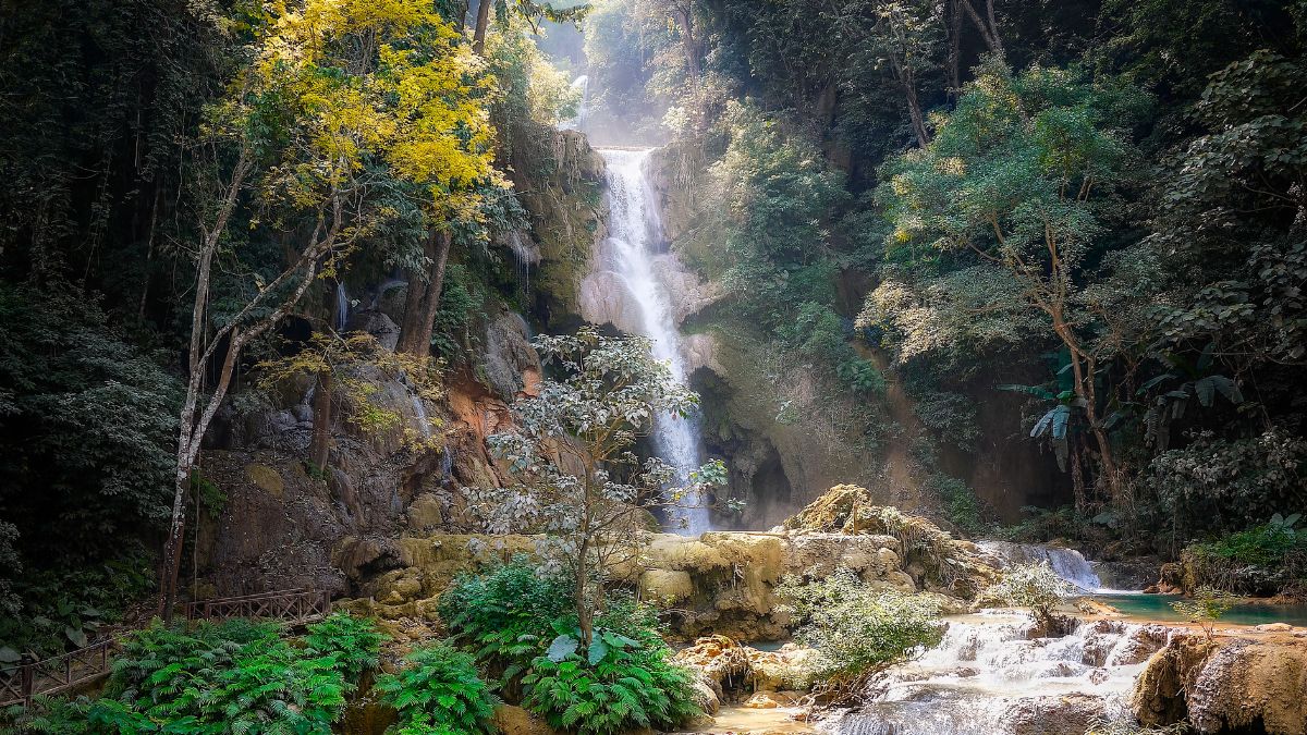 Los tesoros del Chocó: Explorando la riqueza natural del departamento