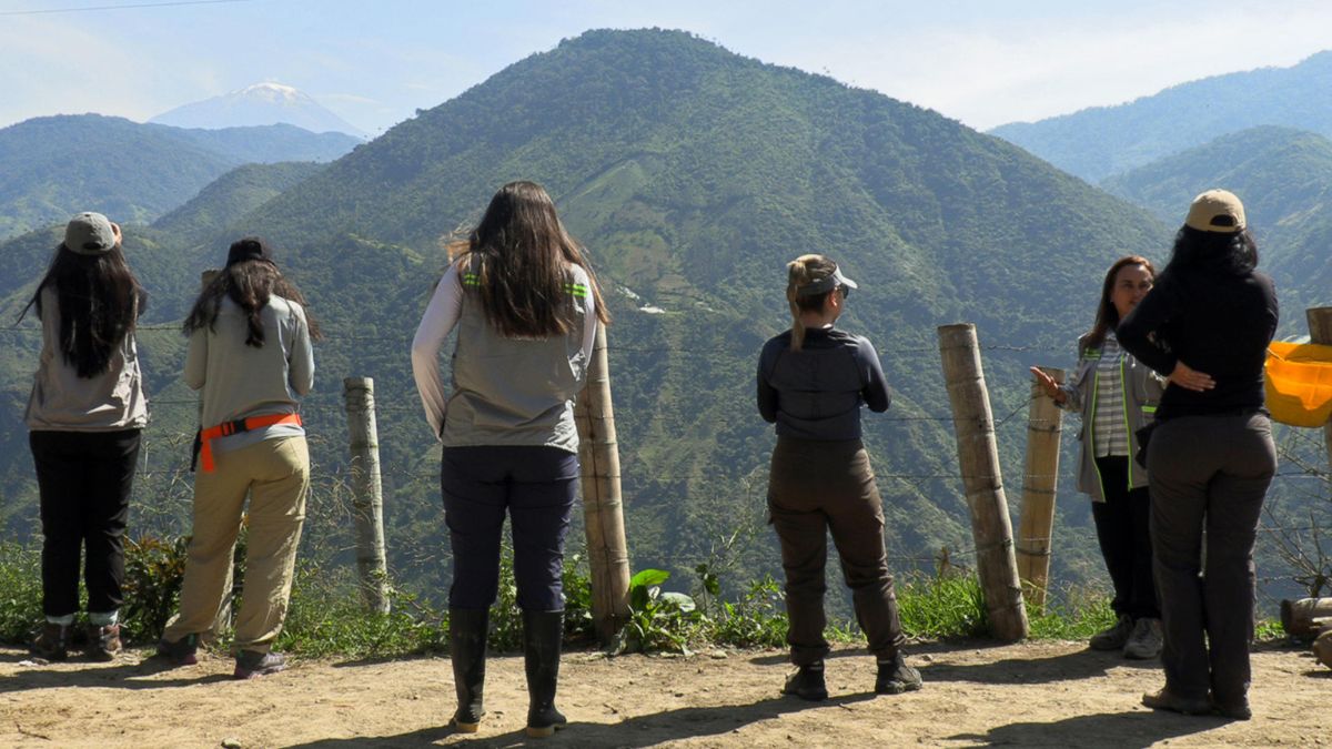 El volcán del Tolima que sigue en actividad luego de casi un milenio